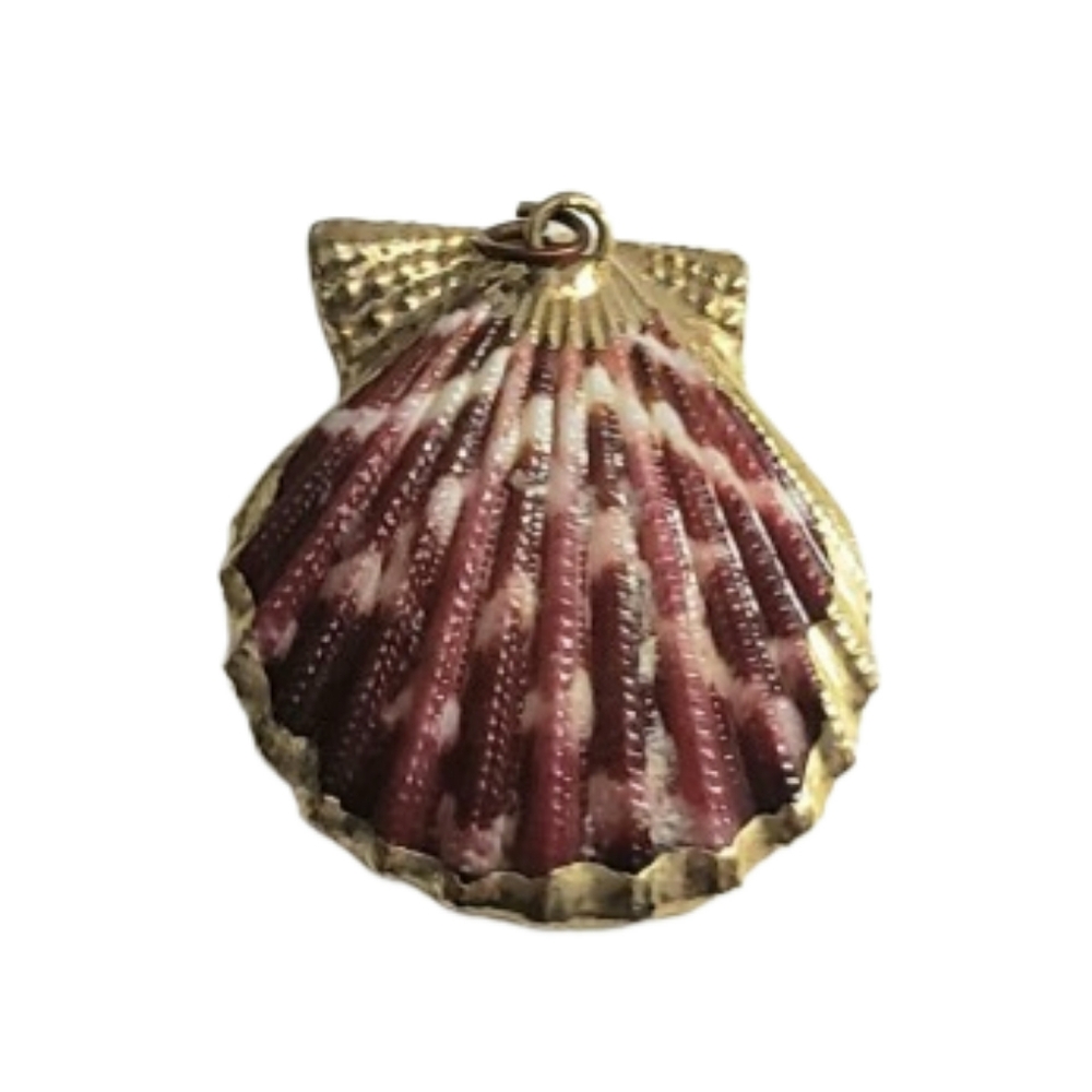 Seashell Pendant with Gold Edging. No Chain
